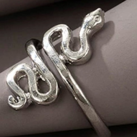 Silver Tone Open Style Adjustable Snake Ring - Picture 3 of 15